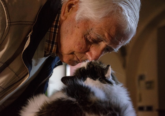 Man playing with cat